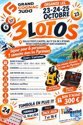 Image Loto (photo 1)