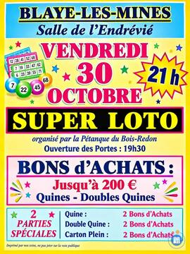 Image Loto pétanque du bois redon blaye-les-Mines (photo 1)