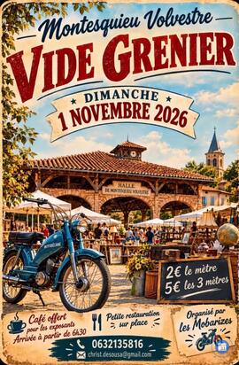 Image Vide grenier LES MOBARIZES (photo 1)