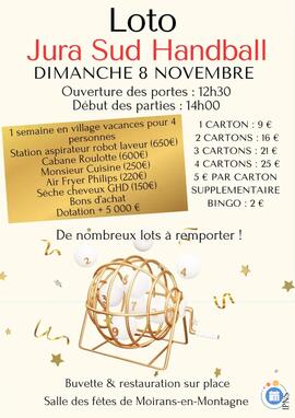 Image Loto Jura sud handball (photo 1)