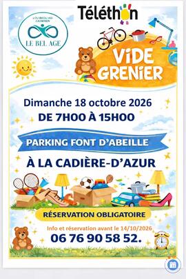 Image Vide grenier du Télèthon (photo 1)