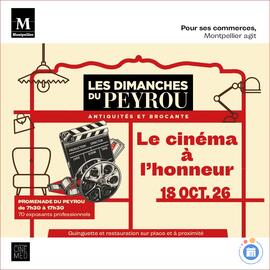 Image Le cinéma à l'honneur (photo 1)