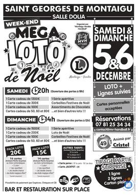Image MÉGA LOTO à SAINT GEORGES DE MONTAIGU : ASSOCIATION MVH : ANIMATION 