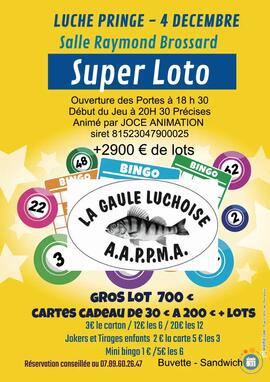 Image SUPER LOTO ORGANISE PAR LA GAULE LUCHOISE A.A.P.P.M.A (photo 1)