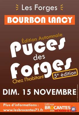 Image Les Puces des Forges (photo 1)