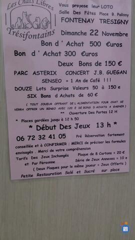 Image Loto les chats libres trésifontains (photo 1)