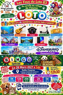 Image Grand Loto Solidaire - Les Fous du Loto 83 (photo 1)