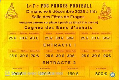 Image loto foc froges football (photo 1)