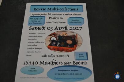 Image Bourse miniatures et multicollections (photo 1)