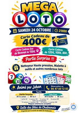 Image Loto du tennis de table de Chabanais (photo 1)