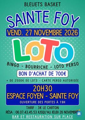 Image loto bleuets basket (photo 1)