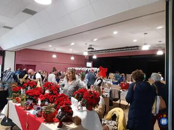 Image Marché de noël Minihy-Tréguier (photo 1)