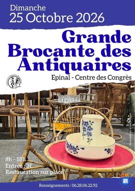 Image GRANDE BROCANTE DES ANTIQUAIRES (photo 1)