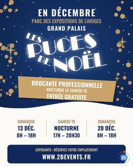 Image Les puces de Noël (photo 1)