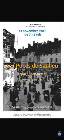 Image Les Puces de Saulieu (photo 1)