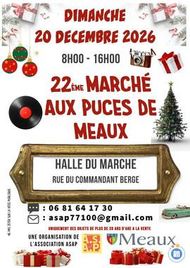 Image 22ème MARCHE AUX PUCES DE MEAUX (photo 1)