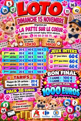 Image LOTO DOMINICAL (photo 1)