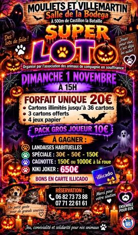 Image LOTO FORFAIT UNIQUE 20€ (photo 1)