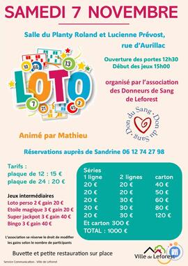 Image Loto (photo 1)