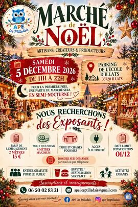 Image Marché de Noel Les Ptilladais (photo 1)