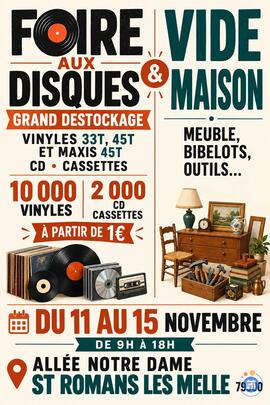Image Grand Destockage Vinyles + Vide Maison (photo 1)