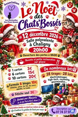 Image Loto de Noël des Chats'Bossés (photo 1)