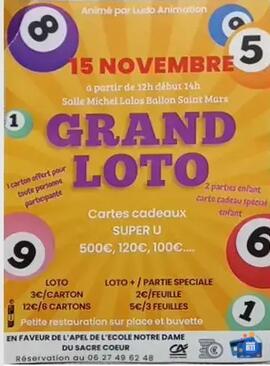 Image loto de L'APEL de l'école notre dame animé par ludo (photo 1)