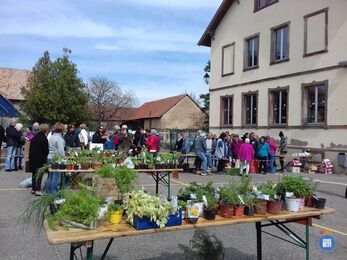 Image Troc aux plantes (photo 1)