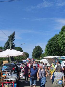 Image Vide grenier foire aux plantes marche de createurs (photo 1)