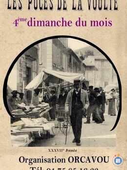 Image Les puces de la voulte (photo 1)