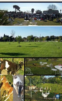 Image vide-grenier entrée de Bompas sur réservation (photo 1)