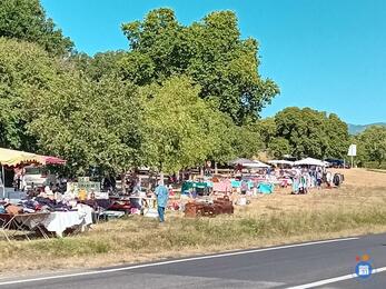 Image Vide greniers , Brocante de st pancrace (photo 1)