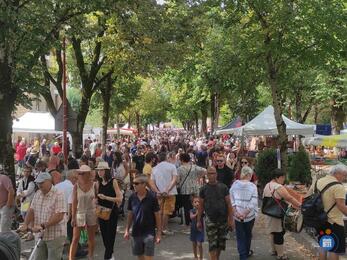 Image Brocante du 15 août à Bozouls (photo 1)