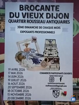 Image Brocante du Vieux Dijon (photo 1)