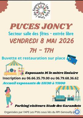 Image Traditionnelle Foire aux Puces (photo 1)