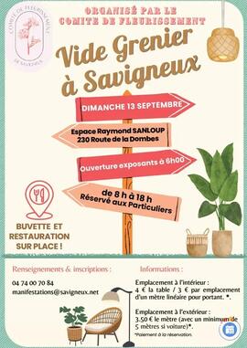 Image Vide-grenier à SAVIGNEUX (Ain) (photo 1)