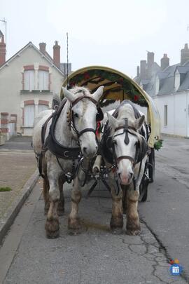 Image Marché de Noël (photo 1)