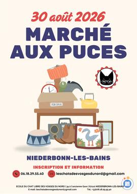 Image Marché aux puces solidaire (photo 1)