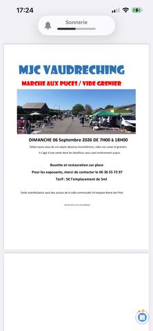 Image Marché aux Puces - vide grenier (photo 1)