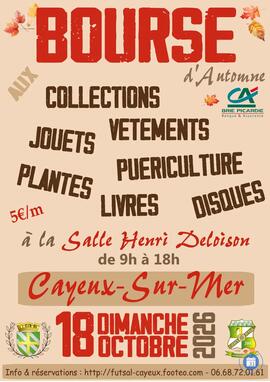 Image 1ère BOURSE d’AUTOMNE : COLLECTIONS, LIVRES, JOUETS, VÊTEMENTS, PUERICULTURE... (photo 1)
