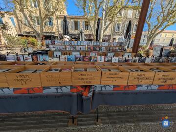 Image Bourse aux disques, cd, bd et instruments de musique (photo 1)