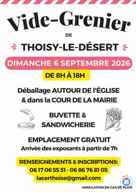 Image Vide-grenier Thoisy-le-désert (photo 1)