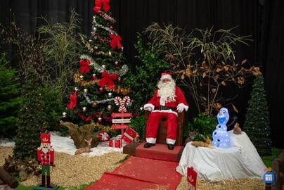 Image MARCHE DE NOEL (photo 1)