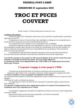 Image Troc et Puces (photo 1)