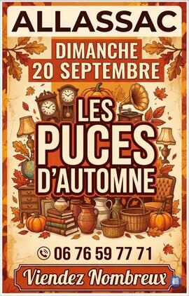 Image LES PUCES D'AUTOMNE (photo 1)