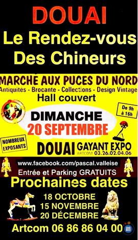 Image Marché aux Puces du Nord à Gayant Expo DOUAI (photo 1)