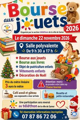 Image Bourses aux jouets et objets péri culture livre décoration de Noël (photo 1)