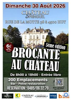 Image La Brocante du Château Springuel : une journée de chine et de découvertes à Huy (photo 1)