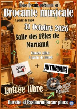 Image Brocante musicale (photo 1)