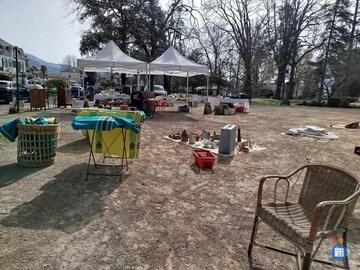 Image Brocante professionnelle du jardin public (photo 1)